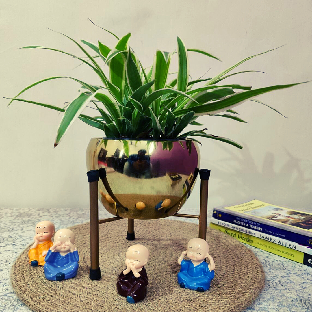 Homefrills Metal Planter Pot with Stand for Plants & Flowers Table Top Planter for Living Room, Home Decor Decorative Pots for Indoor Plants Rust Free Metal Planter (Colour- Golden)